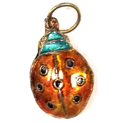 ENAMEL BEETLE 15X24MM